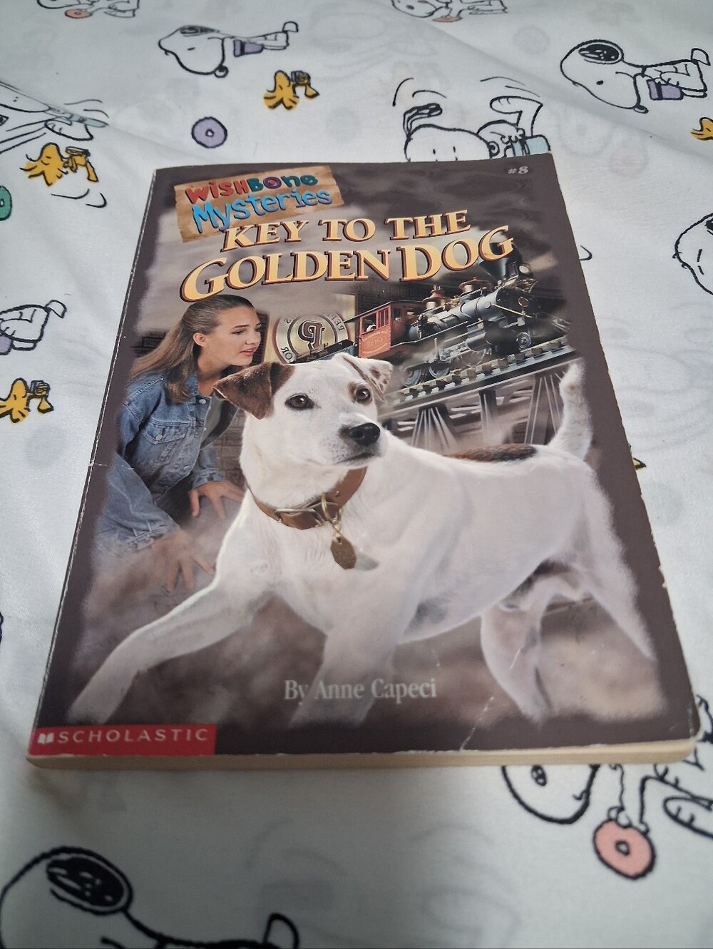 Vintage 1998 Wishbone Mysteries Book #8 Key To The Golden Dog